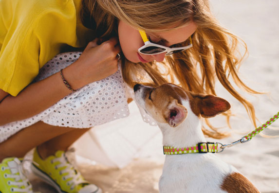 Kako zaštititi psa od toplotnih udara tokom leta: Saveti za vlasnike pasa