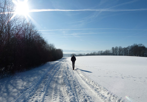 7 namirnica koje možete jesti ove zime kako biste povećali unos vitamina D!